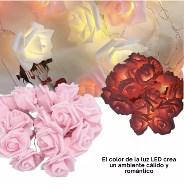 Series De Flores Fommy Con Luz LED